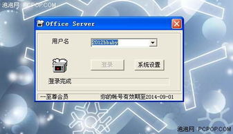 安全零风险的远程控制软件“网络人”评析——聚焦网络与信息安全软件开发